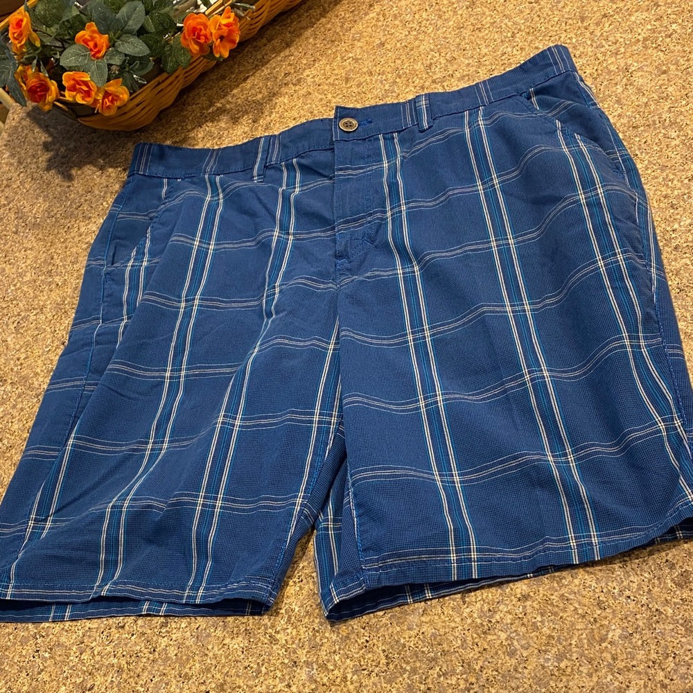 Tony Hawk Shorts 36 Blue White